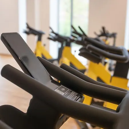 Alsik & 손더보그